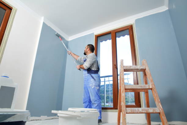 Best Drywall Patching  in USA